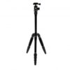 Celestron Binocular Tripod Adapter, Roof and Porro Prism
