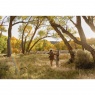 Pre-order Deposit for Swarovski Optik AT Balance Stabilised Spotting Scope 18-45x65