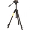 Celestron Binocular Tripod Adapter, Roof and Porro Prism