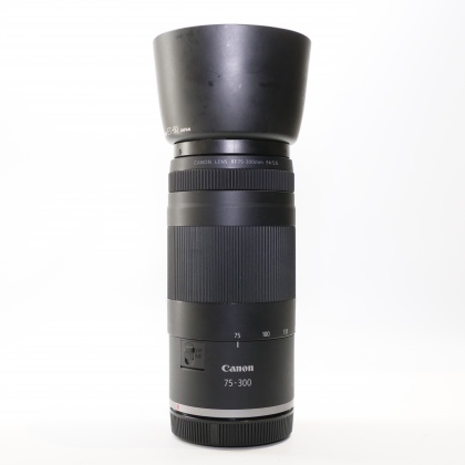 Used Lenses for Canon EOS R