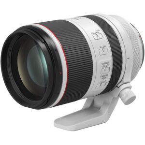 9402.jpg Canon RF 70-200mm f2.8L IS USM lens