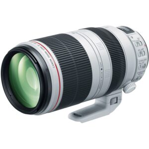 image_1-303 Canon EF 100-400mm f4.5-5.6L IS II USM lens