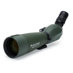 image_1-618 Celestron Regal M2 80ED Angled Spotting Scope