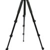 Celestron Regal Premium Tripod