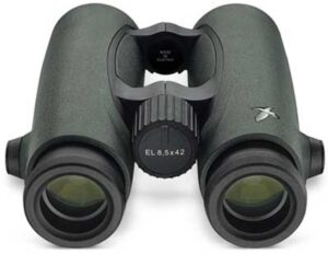 image_1-689 Swarovski Optik 8.5x42 Swarovision EL Field Pro Binoculars, Green