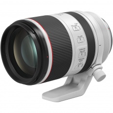 Canon RF 85mm f1.2 USM DS lens
