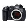 Canon EOS R8 Mark II Mirrorless Camera body