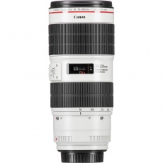 Canon EF 100-400mm f4.5-5.6L IS II USM lens