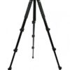 Celestron Regal Premium Tripod
