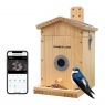 Camouflage EZ-NestEye Bird Box Camera