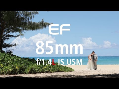 Canon EF 85mm f1.4L IS USM lens