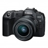 Canon EOS R8 Mirrorless Camera with RF 24-50 lens