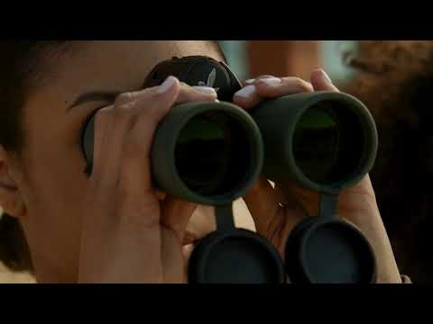 Swarovski Optik 10x42 NL Pure Binoculars, Burnt Orange