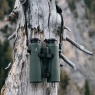 Swarovski Optik EL Range 8x32 TA Binoculars