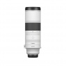 Canon RF 200-800mm f6.3-9 IS USM lens