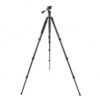 Celestron Regal M2 80ED Angled Spotting Scope