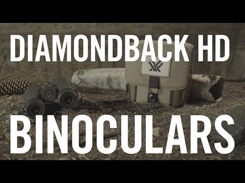 Vortex Diamondback HD 10x42 Binoculars
